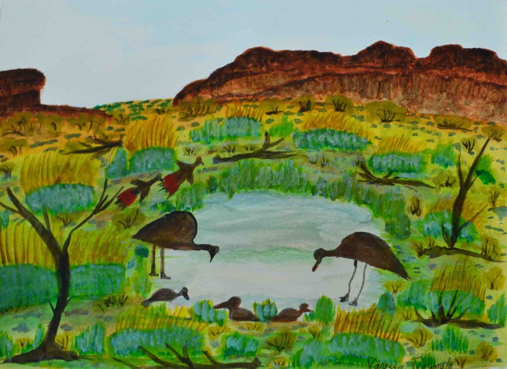 Vanessa Inkamala, Tjuritja (West MacDonnell Ranges, NT)