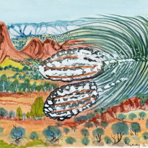 Tjoritja (West MacDonnell Ranges) - Painting - Selma Coulthard