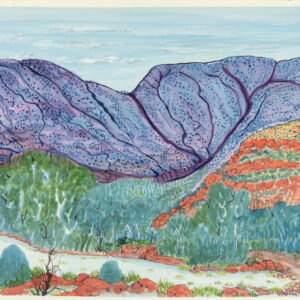 Boggy Waterhole - Painting - Selma Coulthard