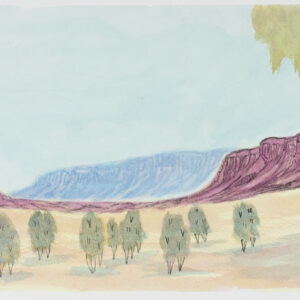 Tjoritja (West MacDonnell Ranges), NT - Painting - Wayne Armstrong
