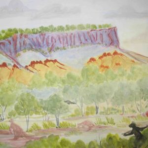 West from Haast Bluff, NT - Established Artists - Lenie Namatjira