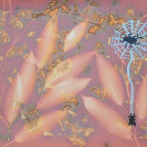 Central Australia - Established Artists - Clara  Inkamala