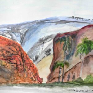 Palm Valley, NT - Painting - Reinhold Inkamala