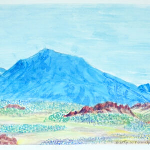 Tjoritja(West MacDonnell Ranges),NT - Painting - Betty Namatjira Wheeler