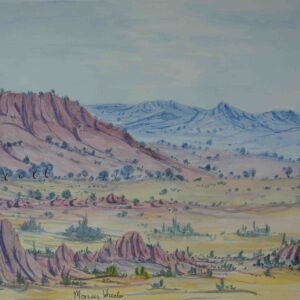 Heading towards Alice Springs, Glen Helen way - Painting - Marcus Wheeler