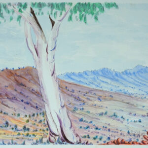 Haasts Bluff plain - Painting - Marcus Wheeler