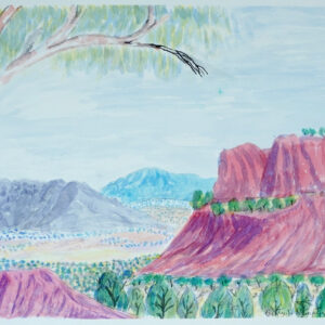 Tjoritja(West MacDonnell Ranges),NT - Painting - Betty Namatjira Wheeler