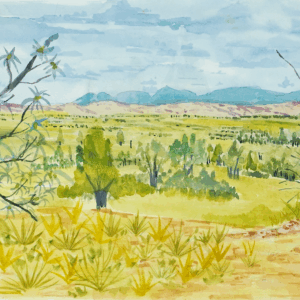 Tjoritja (West MacDonnell Ranges), NT - Emerging Artists - Everard Pei Pei