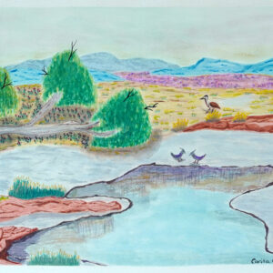 Springwater on top of waterhole - Emerging Artists - Carita Coulthard