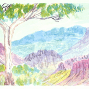 Tjoritja (West MacDonnell Ranges), NT - Painting - Betty Namatjira Wheeler
