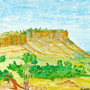 Tjoritja (West MacDonnell Ranges), NT - Emerging Artists - Everard Pei Pei