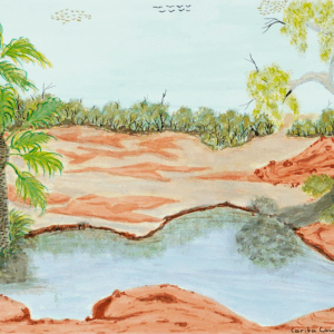 Lyerrtjina(budgerigas) Springs, Palm Valley - Emerging Artists - Carita Coulthard