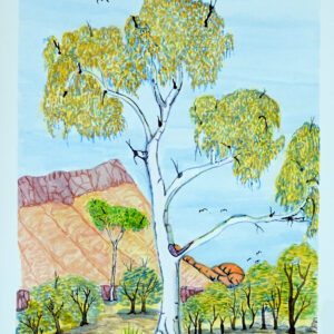 Ghost gum - Painting - Kathy Inkamala