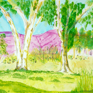 Tjoritja (West MacDonnell Ranges), NT - Emerging Artists - Everard Pei Pei