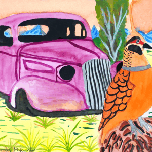 Pink car and spinifex pigeon - Emerging Artists - Mandy Malbunka