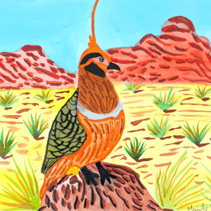 Tjoritja (West MacDonnell Ranges), NT - Emerging Artists - Mandy Malbunka