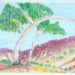 Ghost Gum, West MacDonnell Ranges - Painting - Betty Namatjira Wheeler