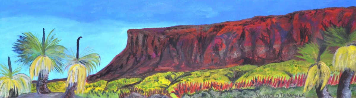 Mt Gillen, near Mparntwe (Alice Springs), NT by Reinhold Inkamala