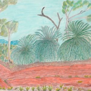 Kuprilya Springs, NT by Betty Namatjira Wheeler