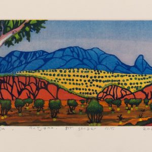 Rutjipma (Mt Sonder), NT by Mervyn Rubuntja