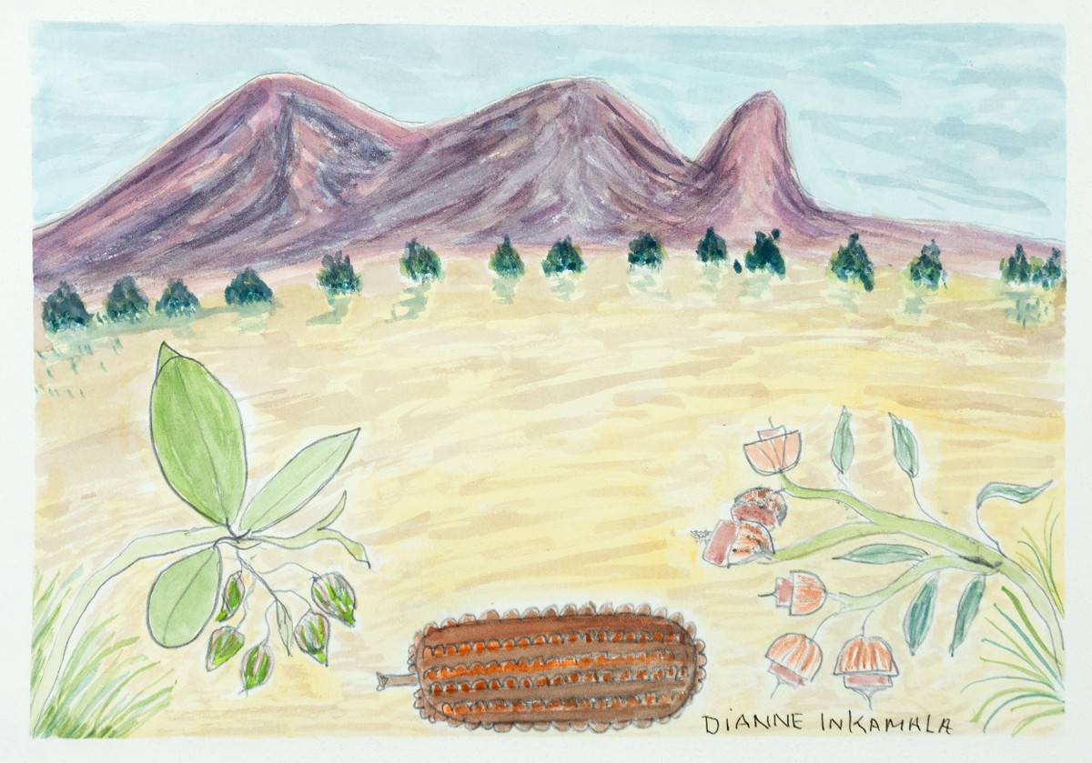 Rutjipma (Mt Sonder) , NT by Dianne Inkamala
