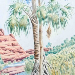 Alyape (Palm Valley), NT by Hubert Pareroultja