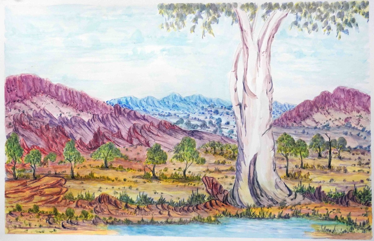 Tjoritja (West MacDonnell Ranges), NT by Marcus Wheeler
