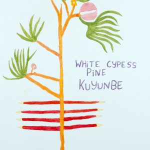 White Cypress Pine (Kuyunbe) by Donald Kelly