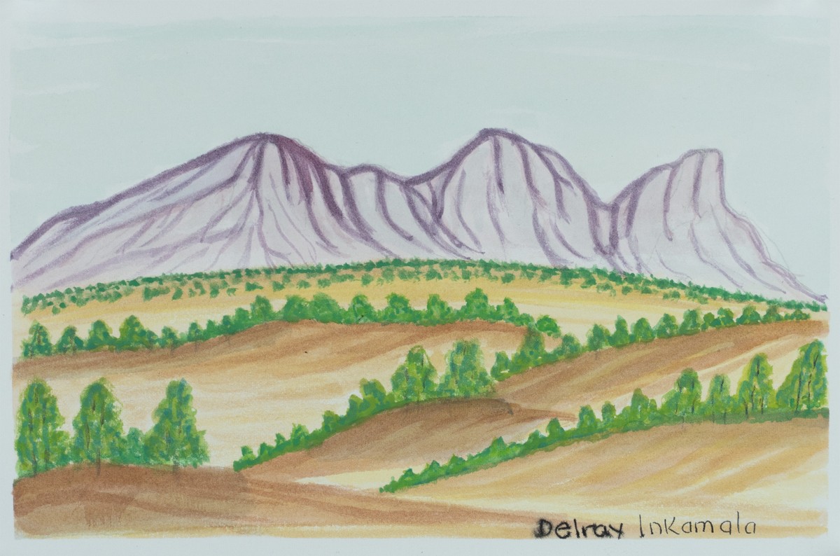 Rutjipma (Mt Sonder) , NT by Delray Inkamala