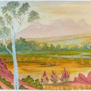 Tjoritja (West MacDonnell Ranges), NT by Vanessa Inkamala