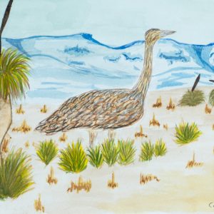 Emu by Carita Coulthard