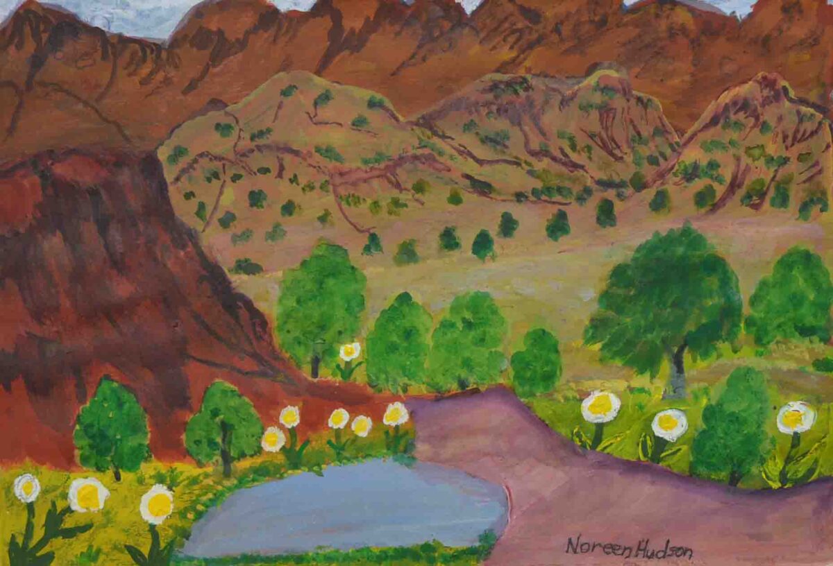 Tjoritja / West MacDonnell Ranges - Painting - Noreen  Hudson