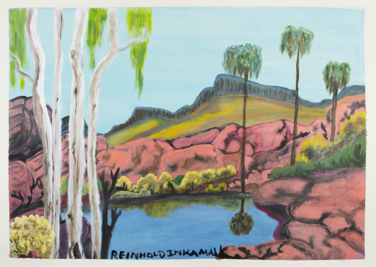 Alyape (Palm Valley), NT - Painting - Reinhold Inkamala