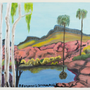 Alyape (Palm Valley), NT - Painting - Reinhold Inkamala