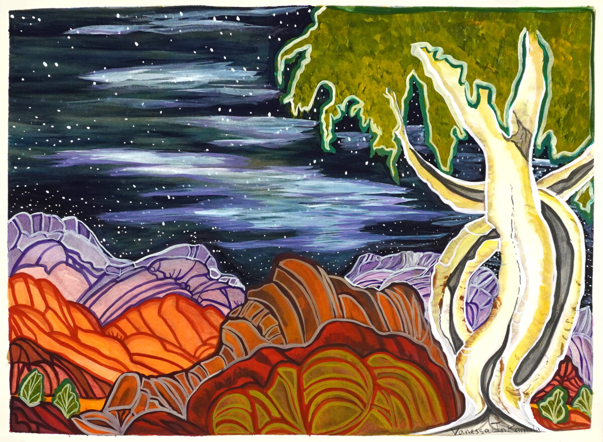 West Macdonnell Ranges, Nighttime - Painting - Vanessa Inkamala