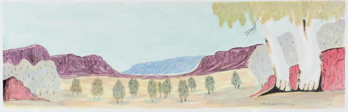 Tjoritja (West MacDonnell Ranges), NT - Painting - Wayne Armstrong