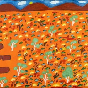 Mangalawarru East of Tennant Creek - Emerging Artists - Lindy Brodie