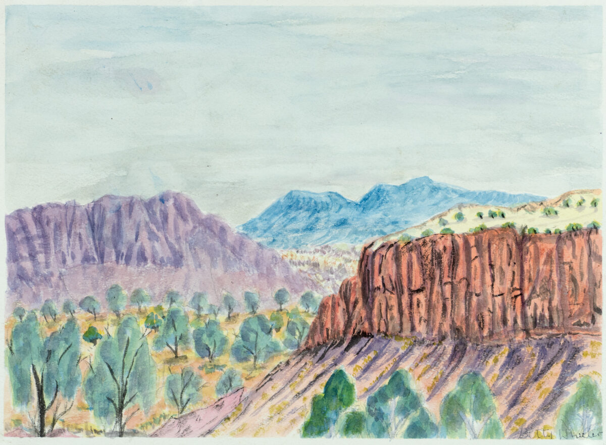 Tjoritja (West MacDonnell Ranges), NT - Painting - Betty Namatjira Wheeler