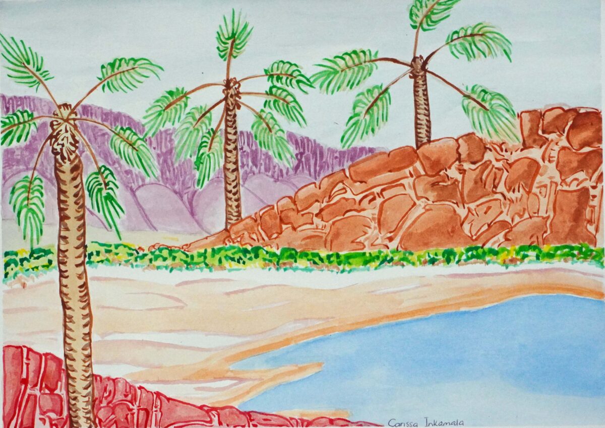 Alyape (Palm Valley) NT - Painting - Carissa Inkamala