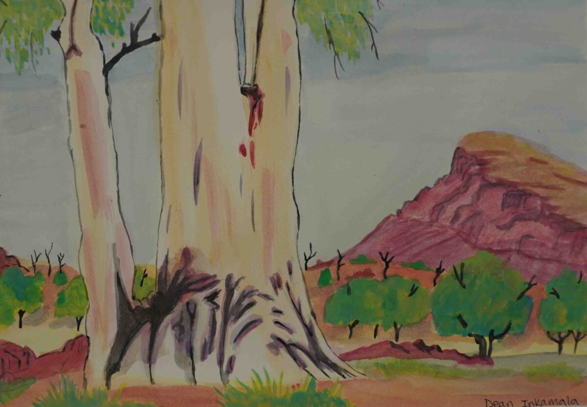 Ghost Gum, near Alice Springs - Established Artists - Dean Inkamala