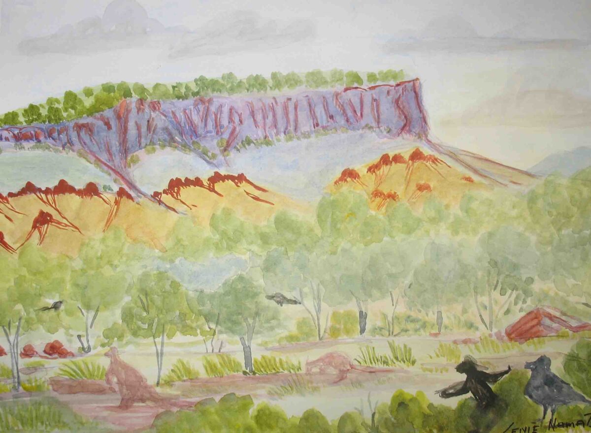 West from Haast Bluff, NT - Established Artists - Lenie Namatjira