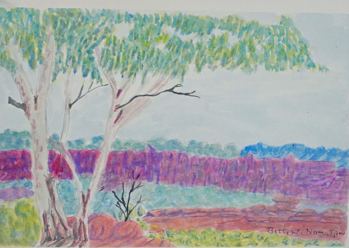 Tjoritja (West MacDonnell Ranges), NT - Painting - Betty Namatjira Wheeler