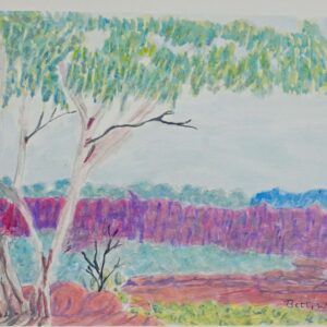 Tjoritja (West MacDonnell Ranges), NT - Painting - Betty Namatjira Wheeler