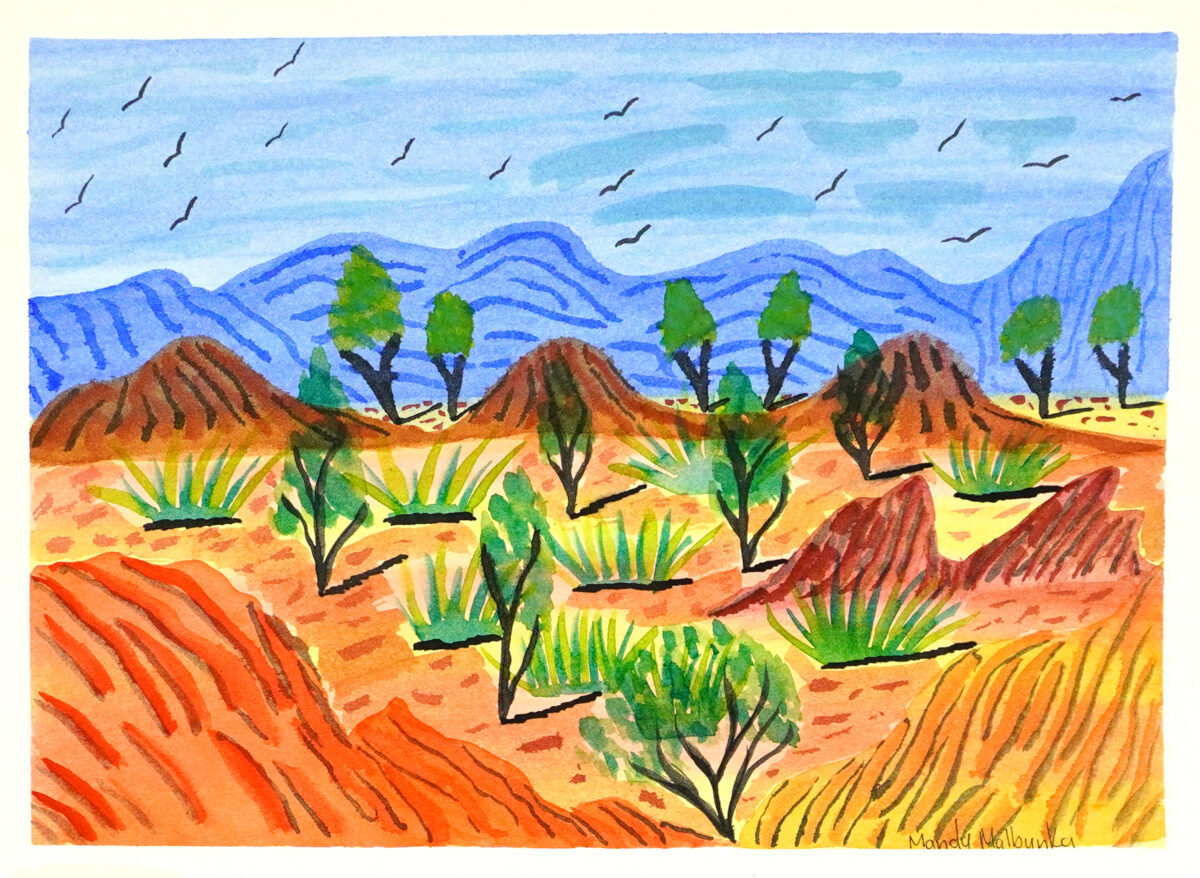 Tjoritja (West MacDonnell Ranges), NT - Emerging Artists - Mandy Malbunka