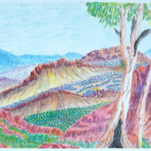 Tjoritja (West MacDonnell Ranges) - Painting - Betty Namatjira Wheeler