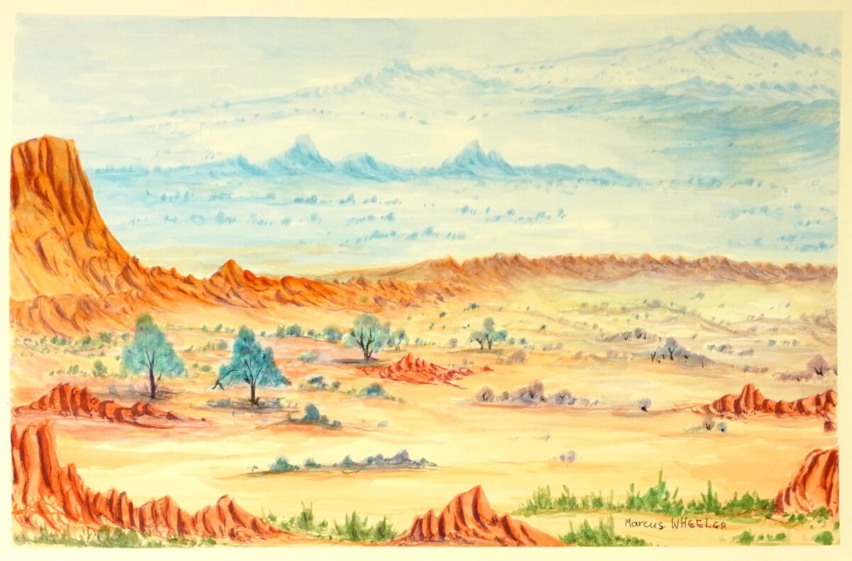 Tjoritja (West MacDonnell Ranges), NT - Painting - Marcus Wheeler