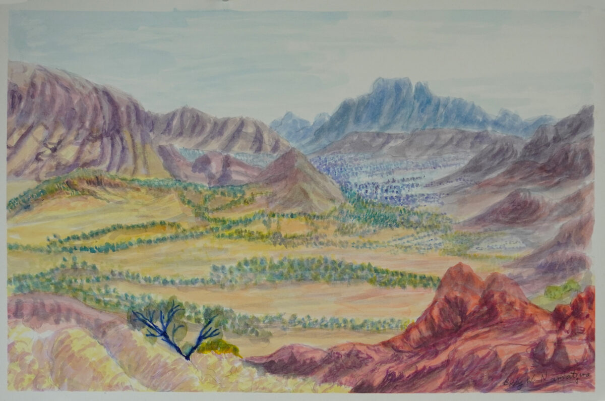 Tjoritja(West MacDonnell Ranges),NT - Painting - Betty Namatjira Wheeler