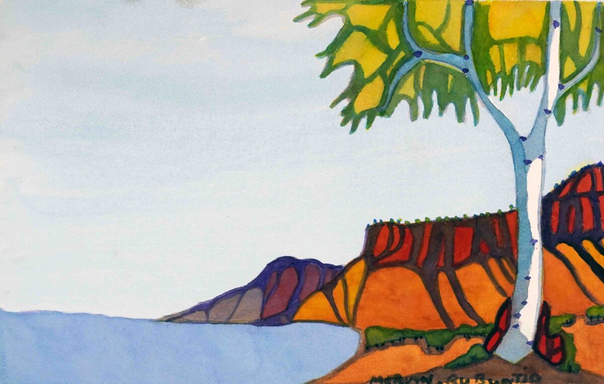 Central Australian Landscape - Painting - Mervyn Rubuntja