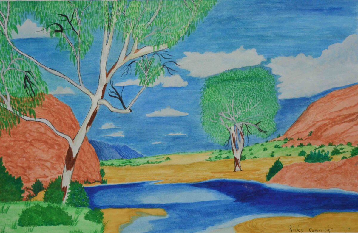 Tjoritja / West MacDonnell Ranges, NT - Painting - Ricky Connick