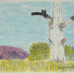 Ghost Gum - Painting - Betty Namatjira Wheeler